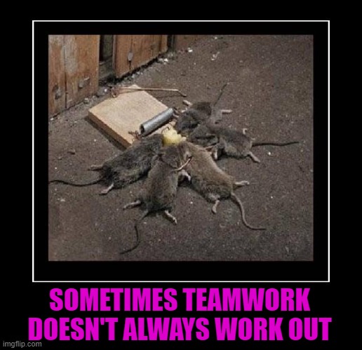 That was one efficient trap... | SOMETIMES TEAMWORK DOESN'T ALWAYS WORK OUT | image tagged in teamwork,memes,trapped,working together,efficiency | made w/ Imgflip meme maker