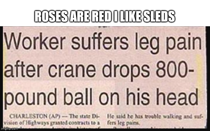 ROSES ARE RED I LIKE SLEDS | image tagged in lol | made w/ Imgflip meme maker