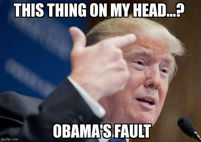 Who will Trump blame next? | image tagged in trump scotus texas,trump hair obama | made w/ Imgflip meme maker