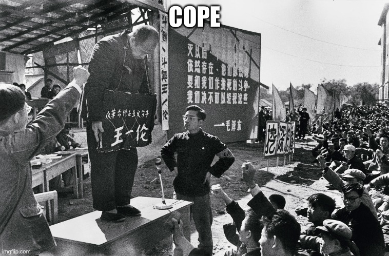 Cultural Revolution | COPE | image tagged in cultural revolution | made w/ Imgflip meme maker