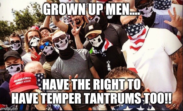 Proud tantrum boys | GROWN UP MEN.... HAVE THE RIGHT TO HAVE TEMPER TANTRUMS TOO!! | image tagged in proud boys,maga,never trump,donald trump,election 2020,conservatives | made w/ Imgflip meme maker