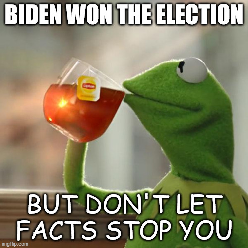But That's None Of My Business | BIDEN WON THE ELECTION; BUT DON'T LET FACTS STOP YOU | image tagged in but that's none of my business,kermit the frog,trumpanzees,trumpers,democrats,scumbag republicans | made w/ Imgflip meme maker