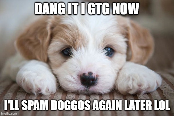 DANG IT I GTG NOW; I'LL SPAM DOGGOS AGAIN LATER LOL | made w/ Imgflip meme maker