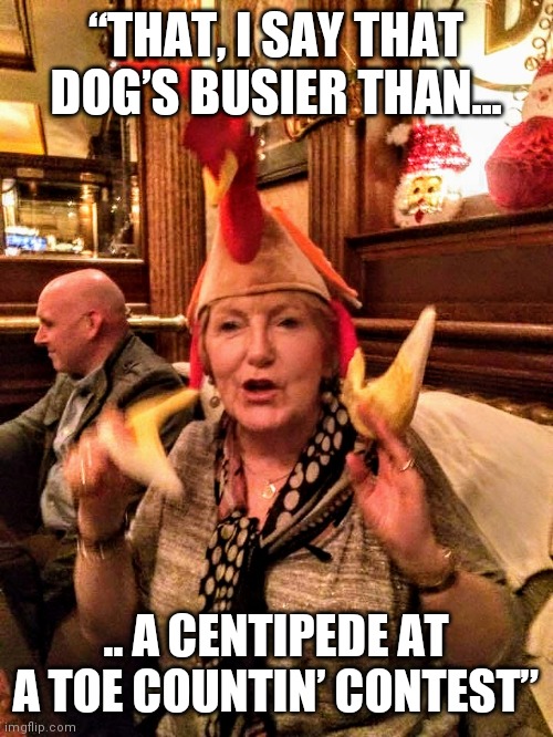Dufficy | “THAT, I SAY THAT DOG’S BUSIER THAN... .. A CENTIPEDE AT A TOE COUNTIN’ CONTEST” | image tagged in foghorn leghorn,chicken | made w/ Imgflip meme maker