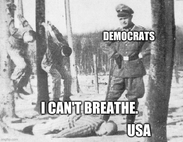 Coming soon to a former nation surrounding you..... | DEMOCRATS; I CAN'T BREATHE. USA | image tagged in nazi death camp guard | made w/ Imgflip meme maker