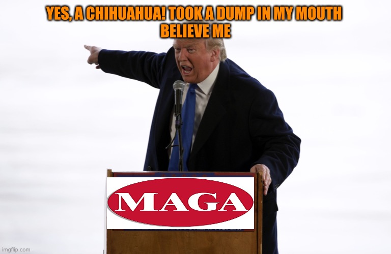YES, A CHIHUAHUA! TOOK A DUMP IN MY MOUTH 
BELIEVE ME | made w/ Imgflip meme maker