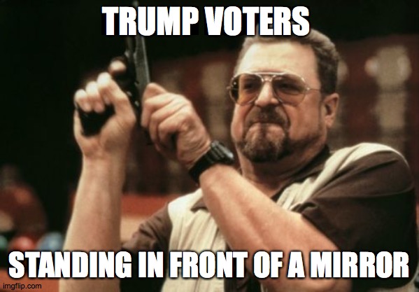 Reflecting | TRUMP VOTERS; STANDING IN FRONT OF A MIRROR | image tagged in memes,am i the only one around here,snowflakes,maga,loser,trump | made w/ Imgflip meme maker