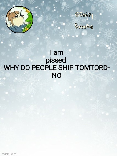 Real shit uwuwu | I am pissed 
WHY DO PEOPLE SHIP TOMTORD-
NO | image tagged in daisy's christmas template | made w/ Imgflip meme maker