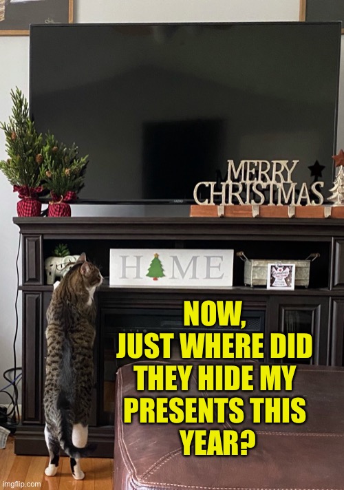 A Nittany Lines Christmas | NOW, 
JUST WHERE DID 
THEY HIDE MY 
PRESENTS THIS 
YEAR? | image tagged in merry christmas,nittany lines,presents,search | made w/ Imgflip meme maker