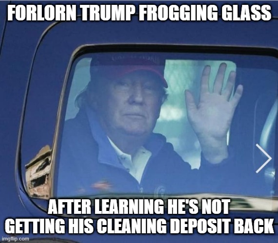 forlorn trump | FORLORN TRUMP FROGGING GLASS; AFTER LEARNING HE'S NOT GETTING HIS CLEANING DEPOSIT BACK | image tagged in forlorn trump leaving white house | made w/ Imgflip meme maker