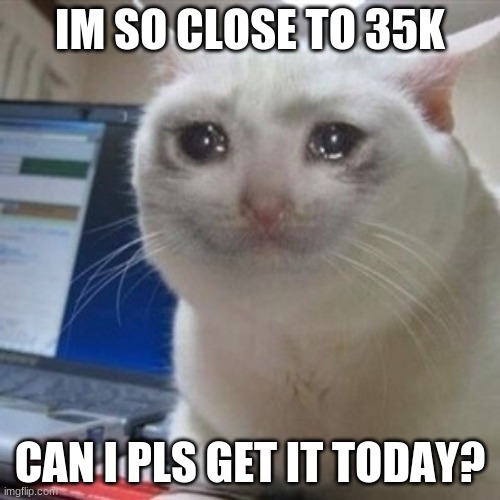 :) | IM SO CLOSE TO 35K; CAN I PLS GET IT TODAY? | image tagged in crying cat | made w/ Imgflip meme maker