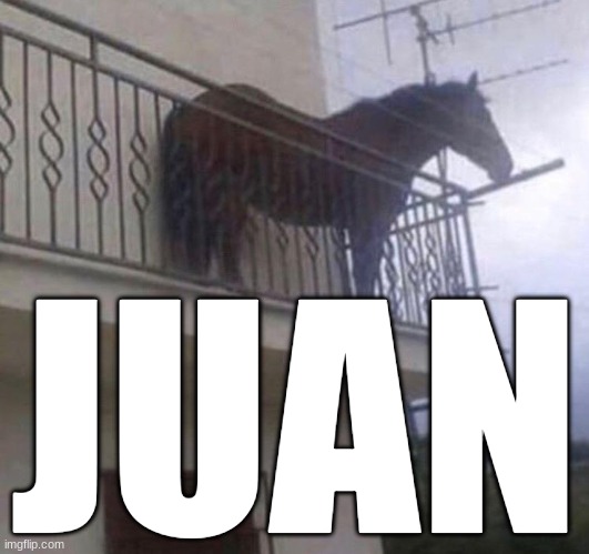 Juan | JUAN | image tagged in juan | made w/ Imgflip meme maker