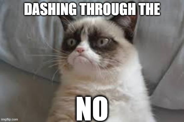grumpy cat meme dashing through the no