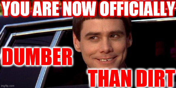 dumb and dumber | YOU ARE NOW OFFICIALLY DUMBER                           
                       THAN DIRT | image tagged in dumb and dumber | made w/ Imgflip meme maker