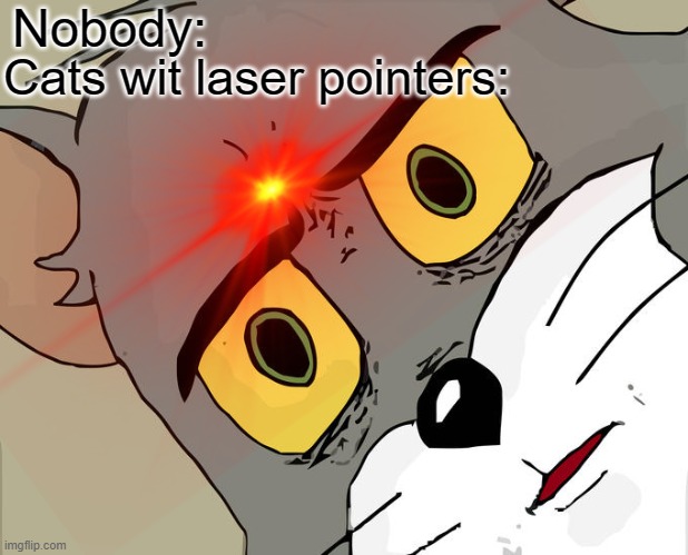 Cats with laser pointers | Nobody:; Cats wit laser pointers: | image tagged in unsettled tom | made w/ Imgflip meme maker