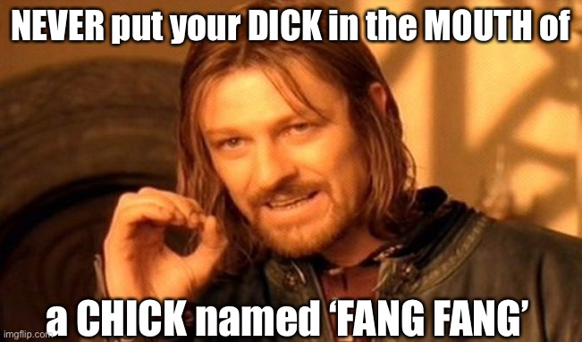 Treasonous Democrats | NEVER put your DICK in the MOUTH of a CHICK named ‘FANG FANG’ | image tagged in one does not simply,bj,dick,chinese,spy,bite | made w/ Imgflip meme maker
