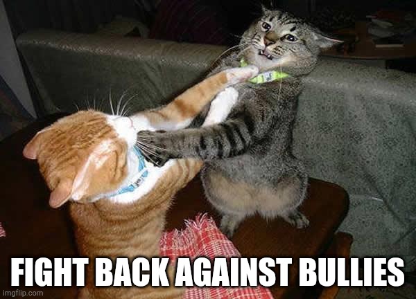 Always fight the bullies in life. Even on imgflip. | FIGHT BACK AGAINST BULLIES | image tagged in two cats fighting for real | made w/ Imgflip meme maker