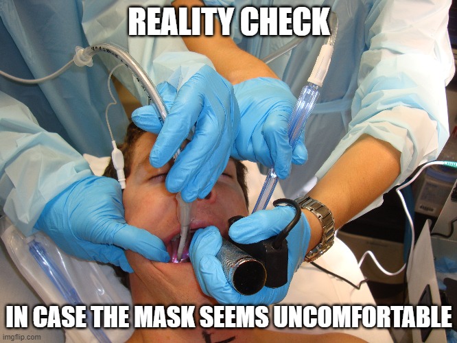 WEAR A DAMNED MASK! | REALITY CHECK; IN CASE THE MASK SEEMS UNCOMFORTABLE | image tagged in mask,covid19,intubation | made w/ Imgflip meme maker