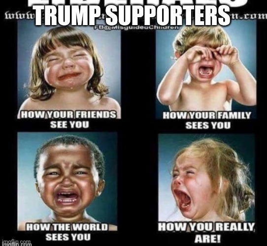 Trump supporters | TRUMP SUPPORTERS | image tagged in maga,election 2020,never trump,donald trump,conservatives,qanon | made w/ Imgflip meme maker