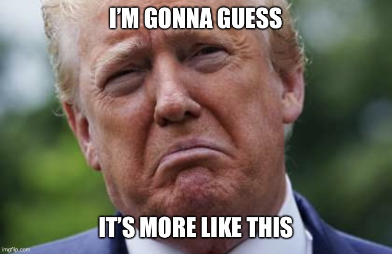 Sad Donnie | I’M GONNA GUESS IT’S MORE LIKE THIS | image tagged in sad donnie | made w/ Imgflip meme maker