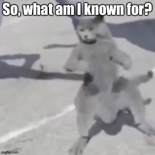 Old trend. | So, what am I known for? | image tagged in cat nae nae | made w/ Imgflip meme maker