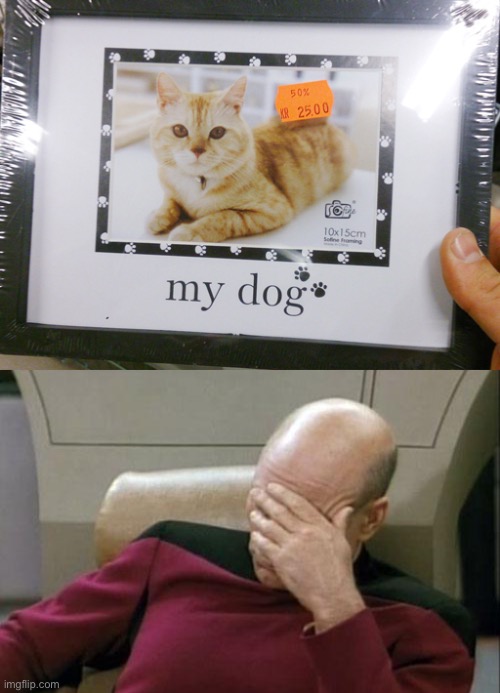 Doesn’t look like a dog... | image tagged in memes,captain picard facepalm,you had one job just the one,dogs,cats,fails | made w/ Imgflip meme maker