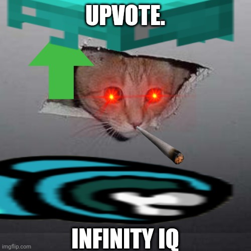 spam | UPVOTE. INFINITY IQ | image tagged in spam,spamm,spank | made w/ Imgflip meme maker