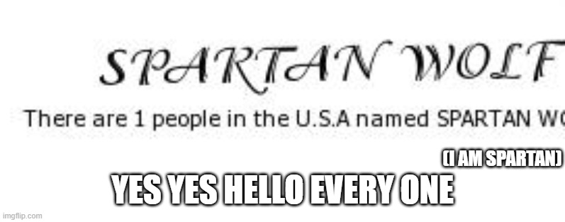 spartan wolf | (I AM SPARTAN); YES YES HELLO EVERY ONE | image tagged in hello,name,spartan wolf | made w/ Imgflip meme maker