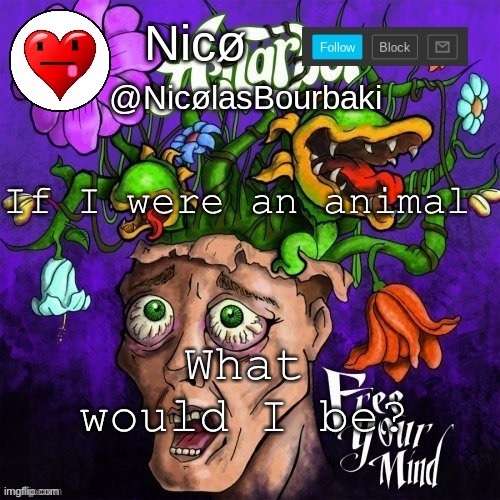 Nicø announcement | If I were an animal; What would I be? | image tagged in nic announcement | made w/ Imgflip meme maker