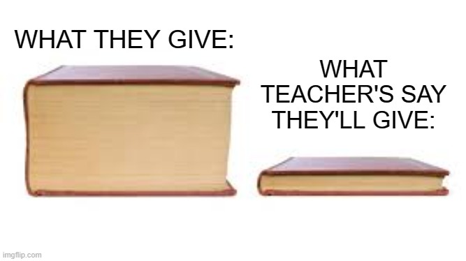 Big book small book | WHAT TEACHER'S SAY THEY'LL GIVE:; WHAT THEY GIVE: | image tagged in big book small book | made w/ Imgflip meme maker