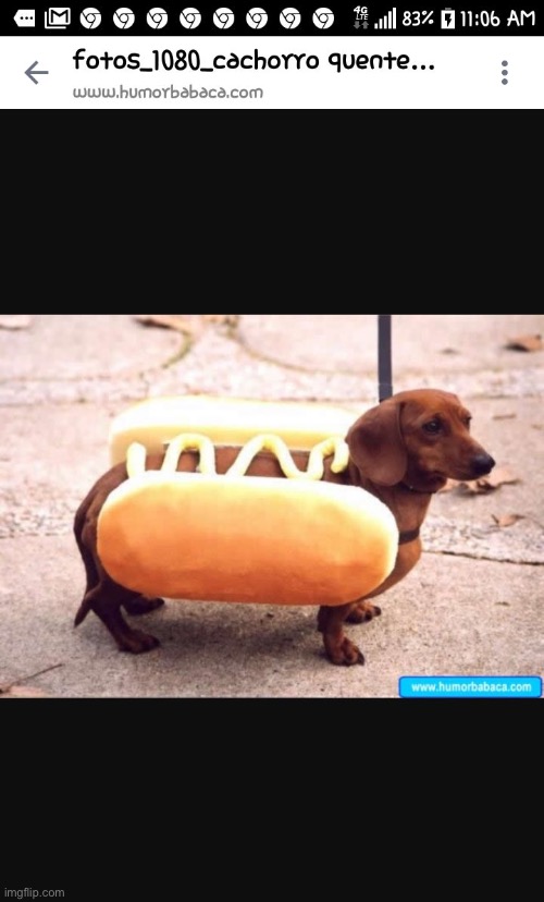 Pannini weenie food trucks | image tagged in pannini weenie food trucks | made w/ Imgflip meme maker