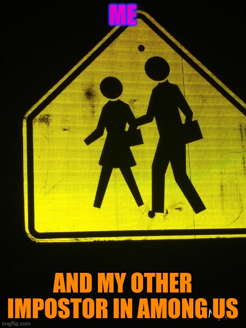 Among us | ME; AND MY OTHER IMPOSTOR IN AMONG US | image tagged in among us,impostor | made w/ Imgflip meme maker