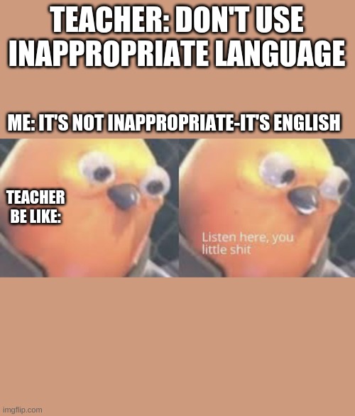 Listen here you little shit bird | TEACHER: DON'T USE INAPPROPRIATE LANGUAGE; ME: IT'S NOT INAPPROPRIATE-IT'S ENGLISH; TEACHER BE LIKE: | image tagged in listen here you little shit bird | made w/ Imgflip meme maker