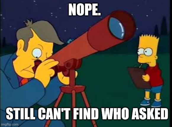 Skinner Bart | NOPE. STILL CAN'T FIND WHO ASKED | image tagged in skinner bart | made w/ Imgflip meme maker