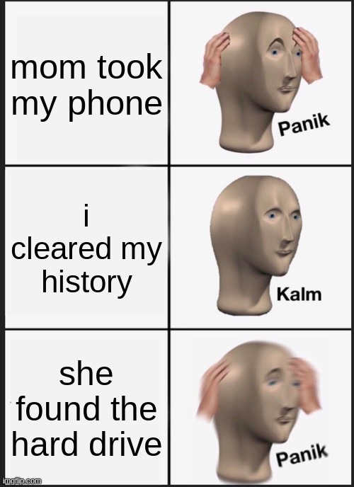 *phub intro plays* | mom took my phone; i cleared my history; she found the hard drive | image tagged in memes,panik kalm panik | made w/ Imgflip meme maker