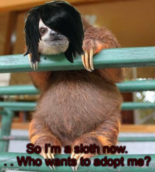 Sloth Nicø | So I’m a sloth now. . . Who wants to adopt me? | image tagged in sloth nic | made w/ Imgflip meme maker