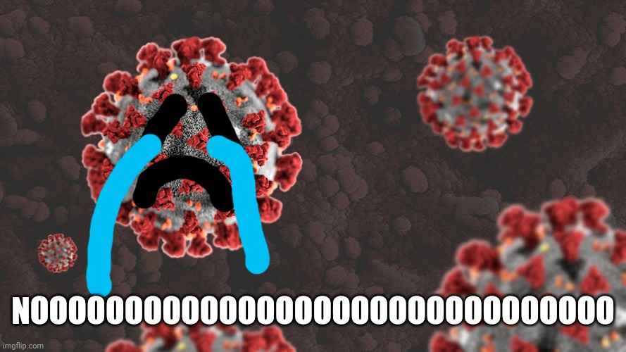 Coronavirus | NOOOOOOOOOOOOOOOOOOOOOOOOOOOOOOO | image tagged in coronavirus | made w/ Imgflip meme maker