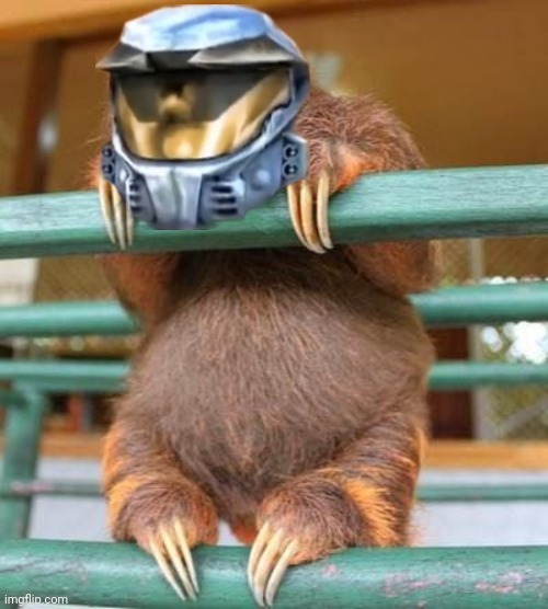 Church Sloth | image tagged in church sloth | made w/ Imgflip meme maker