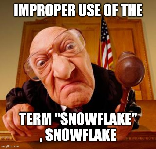 Mean Judge | IMPROPER USE OF THE TERM "SNOWFLAKE" , SNOWFLAKE | image tagged in mean judge | made w/ Imgflip meme maker