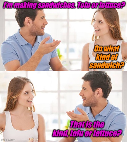 Coming soon to a home ruled by our Democrat Superiors. Because meat causes CO2 and keeps us from exploring Mars or something.... | I'm making sandwiches. Tofu or lettuce? On what kind of sandwich? That is the kind, tofu or lettuce? | image tagged in couple talking | made w/ Imgflip meme maker