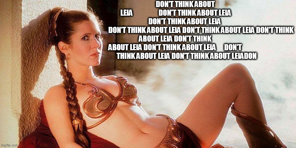 Star Wars Slave Leia | DON'T THINK ABOUT LEIA                   DON'T THINK ABOUT LEIA
             DON'T THINK ABOUT LEIA

                                      D | image tagged in star wars slave leia | made w/ Imgflip meme maker