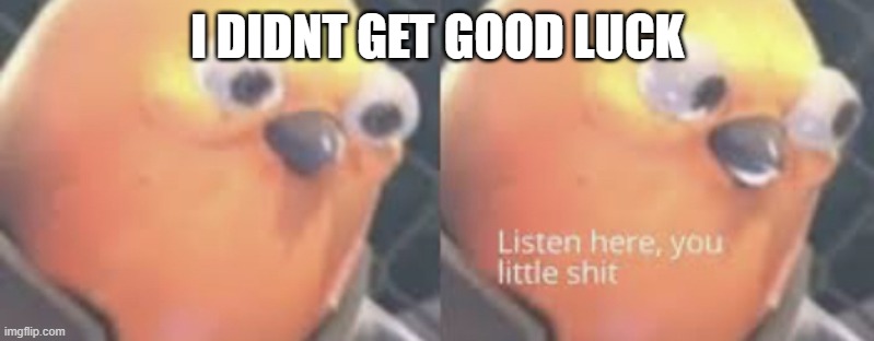 I DIDNT GET GOOD LUCK | image tagged in listen here you little shit bird | made w/ Imgflip meme maker