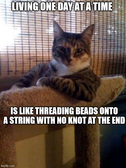 The Most Interesting Cat In The World Meme | LIVING ONE DAY AT A TIME; IS LIKE THREADING BEADS ONTO A STRING WITH NO KNOT AT THE END | image tagged in memes,the most interesting cat in the world | made w/ Imgflip meme maker