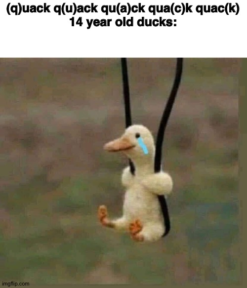 Crying duck | (q)uack q(u)ack qu(a)ck qua(c)k quac(k)
14 year old ducks: | image tagged in crying duck | made w/ Imgflip meme maker
