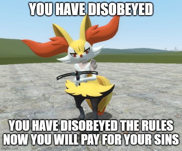 Now you've done it | YOU HAVE DISOBEYED; YOU HAVE DISOBEYED THE RULES
NOW YOU WILL PAY FOR YOUR SINS | image tagged in garry's mod,braixen | made w/ Imgflip meme maker