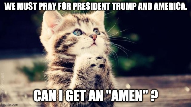 Serious prayer | WE MUST PRAY FOR PRESIDENT TRUMP AND AMERICA. CAN I GET AN "AMEN" ? | image tagged in praying cat | made w/ Imgflip meme maker