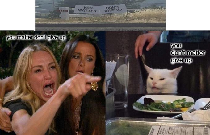 Woman Yelling At Cat Meme | you matter don't give up; you don't matter give up | image tagged in memes,woman yelling at cat | made w/ Imgflip meme maker
