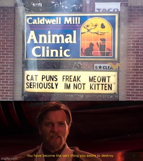Cat jokes | image tagged in you became the very thing you swore to destroy,cats,funny,marketing,smart | made w/ Imgflip meme maker