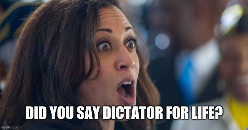 kamala harriss | DID YOU SAY DICTATOR FOR LIFE? | image tagged in kamala harriss | made w/ Imgflip meme maker