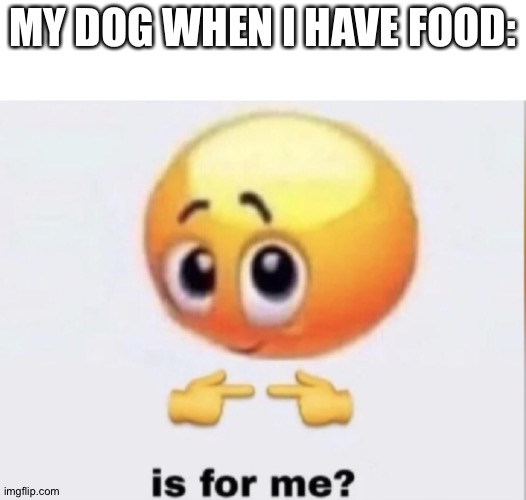 is for me? | MY DOG WHEN I HAVE FOOD: | image tagged in is for me | made w/ Imgflip meme maker